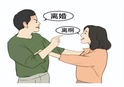 合肥调查取证：两个男孩子妈妈全职妈妈离婚怎么判决