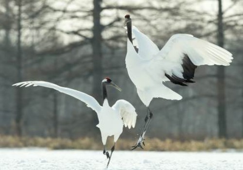 合肥私家调查：单独录音能不能作为证据